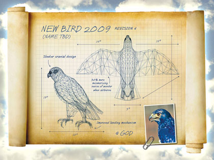 The Onion imagines a divine bird product launch, complete with bird blueprints.