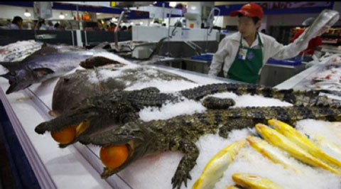 From Buzzfeed's '16 Items They Only Sell at Chinese Wal-Marts' -- crocodiles.